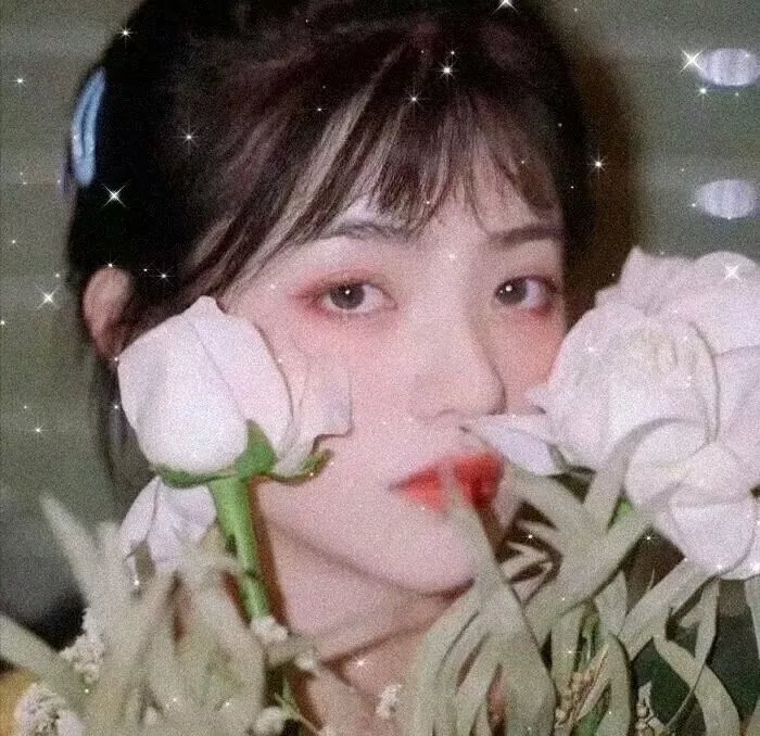 远方的家