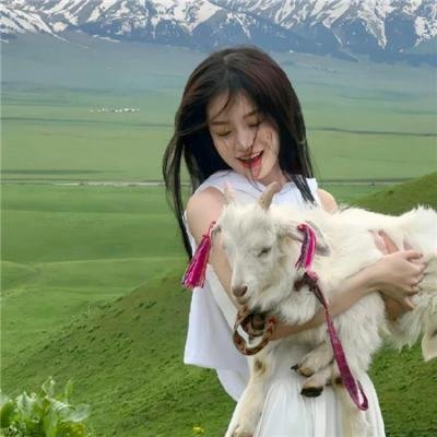 苏莱曼的故事